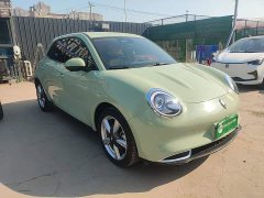 ORA Good Cat 401km Standard Range Deluxe LFP - ფოტო 4