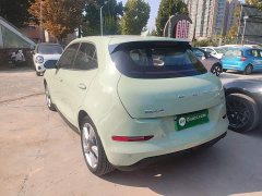 ORA Good Cat 401km Standard Range Deluxe LFP - ფოტო 5