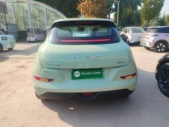 ORA Good Cat 401km Standard Range Deluxe LFP - ფოტო 6