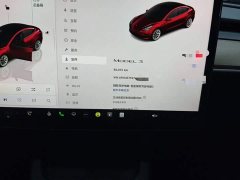 Tesla Model 3 Rear-Wheel Drive - ფოტო 12