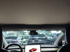 Tesla Model 3 Rear-Wheel Drive - ფოტო 18