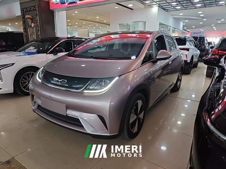 BYD Dolphin 420km Fashion Edition
