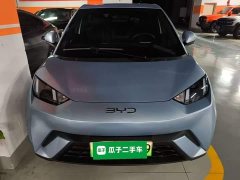 BYD Seagull 2025 405km Flying Edition - ფოტო 3