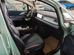 Geely Geometry E Firefly 320KM Cute Tiger 5-Seater - ფოტო 13