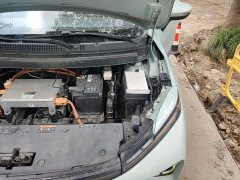 Geely Geometry E Firefly 320KM Cute Tiger 5-Seater - ფოტო 20