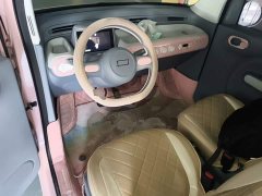 FAW Besturn Xiaoma 170km Vitality Edition - ფოტო 10