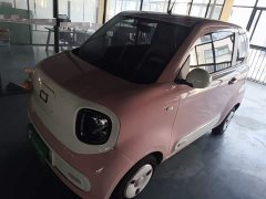 FAW Besturn Xiaoma 170km Vitality Edition - ფოტო 2