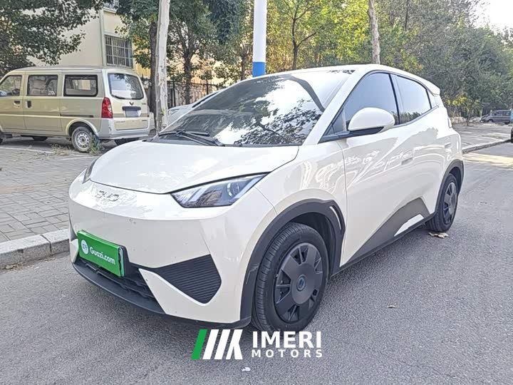 BYD Seagull 2025 Smart Drive 305km Vitality Edition - ავტომობილი ჩინეთიდან