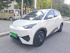BYD Seagull 2025 Smart Drive 305km Vitality Edition - ფოტო 2