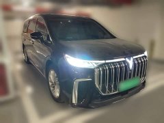 Voyah Dream PHEV Extended Range Luxury Edition - ფოტო 8