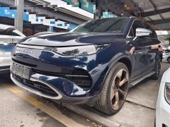 Denza X 2020 PHEV Premier Edition - ფოტო 1