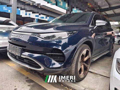 2021 Denza X 2020 PHEV Premier Edition - ავტომობილი ჩინეთიდან