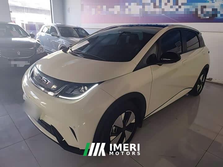 BYD Dolphin 420km Freedom Edition - ავტომობილი ჩინეთიდან