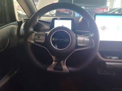 BYD Dolphin 420km Freedom Edition - ფოტო 11