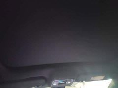 BYD Dolphin 420km Freedom Edition - ფოტო 18