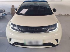 BYD Dolphin 420km Freedom Edition - ფოტო 3