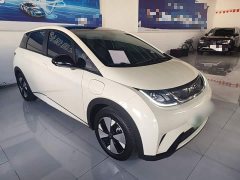 BYD Dolphin 420km Freedom Edition - ფოტო 4