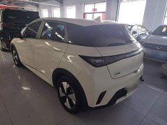 BYD Dolphin 420km Freedom Edition - ფოტო 5