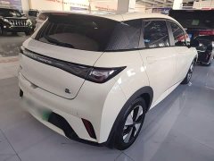 BYD Dolphin 420km Freedom Edition - ფოტო 7