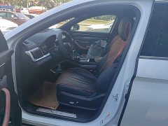 BYD Song Plus 2020 1.5T Automatic Flagship Plus - ფოტო 15