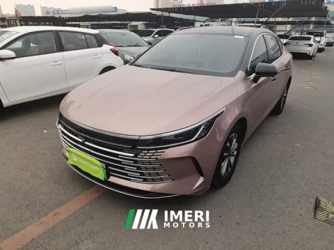2024 BYD Destroyer 05 Glory Edition DM-i 55KM Luxury - ავტომობილი ჩინეთიდან