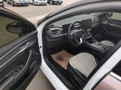BYD Destroyer 05 Glory Edition DM-i 55KM Luxury - ფოტო 16
