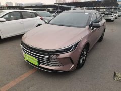 BYD Destroyer 05 Glory Edition DM-i 55KM Luxury - ფოტო 2
