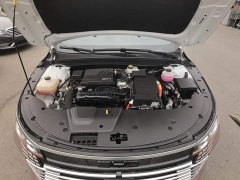 BYD Destroyer 05 Glory Edition DM-i 55KM Luxury - ფოტო 20