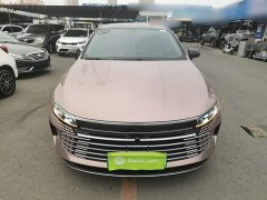 BYD Destroyer 05 Glory Edition DM-i 55KM Luxury - ფოტო 3