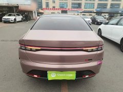 BYD Destroyer 05 Glory Edition DM-i 55KM Luxury - ფოტო 6