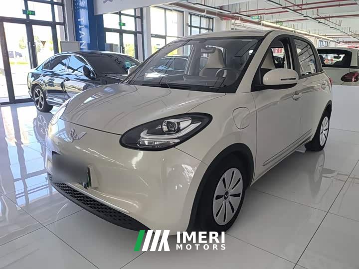 Wuling Binguo 333km Quick Enjoy Edition