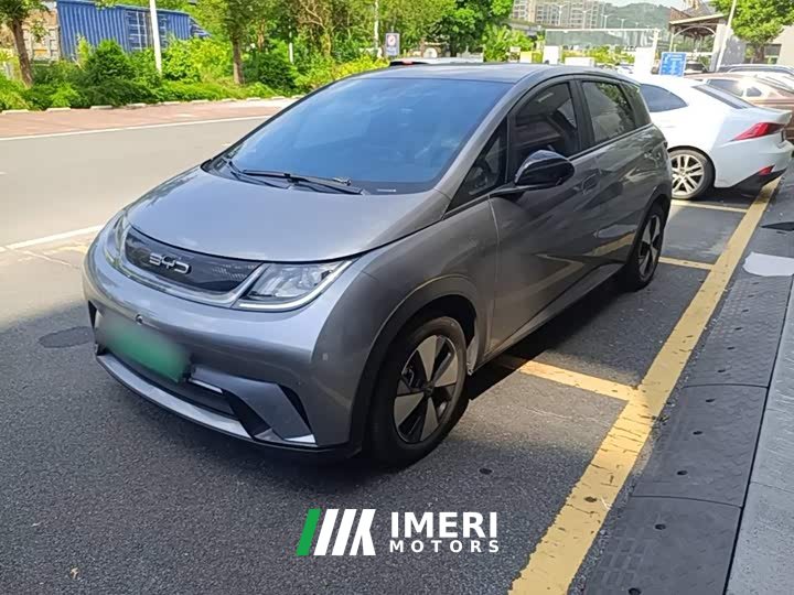 BYD Dolphin 420km Fashion Edition - ავტომობილი ჩინეთიდან