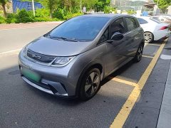BYD Dolphin 420km Fashion Edition - ფოტო 1