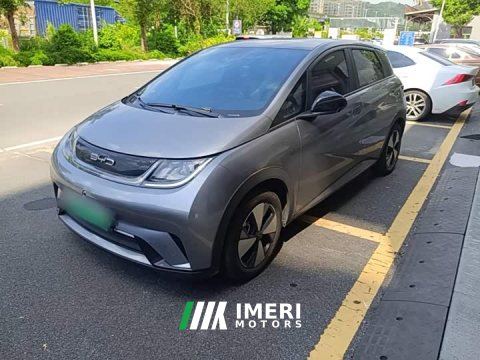 2023 BYD Dolphin 420km Fashion Edition - ავტომობილი ჩინეთიდან