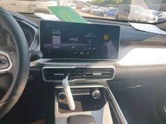 Geely Bingyue 2021 1.4T DCT Diamond Edition - ფოტო 13
