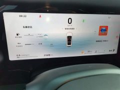 Geely Xingyue L 2.0TD High-Power Automatic FWD Horizon Edition - ფოტო 12