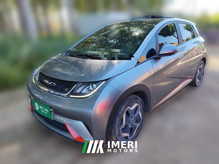 BYD Dolphin 405km Fashion Edition - ავტომობილი ჩინეთიდან