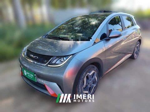 2022 BYD Dolphin 405km Fashion Edition - ავტომობილი ჩინეთიდან