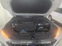 Changan Oushang X5 2021 1.5T DCT Luxury - ფოტო 19
