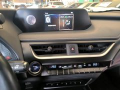 Lexus UX New Energy 2020 300e Pure Joy Edition - ფოტო 13