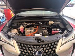 Lexus UX New Energy 2020 300e Pure Joy Edition - ფოტო 20