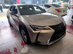 Lexus UX New Energy 2020 300e Pure Joy Edition - ფოტო 4