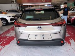 Lexus UX New Energy 2020 300e Pure Joy Edition - ფოტო 6