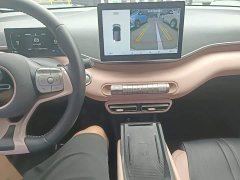 BYD Seagull Freedom Edition - ფოტო 14