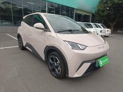 BYD Seagull Freedom Edition - ფოტო 4