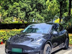 Tesla Model Y Rear-Wheel Drive - ფოტო 1