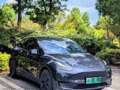 Tesla Model Y Rear-Wheel Drive - ფოტო 12