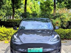 Tesla Model Y Rear-Wheel Drive - ფოტო 14
