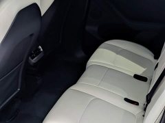 Tesla Model Y Rear-Wheel Drive - ფოტო 16