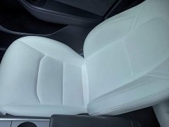 Tesla Model Y Rear-Wheel Drive - ფოტო 19